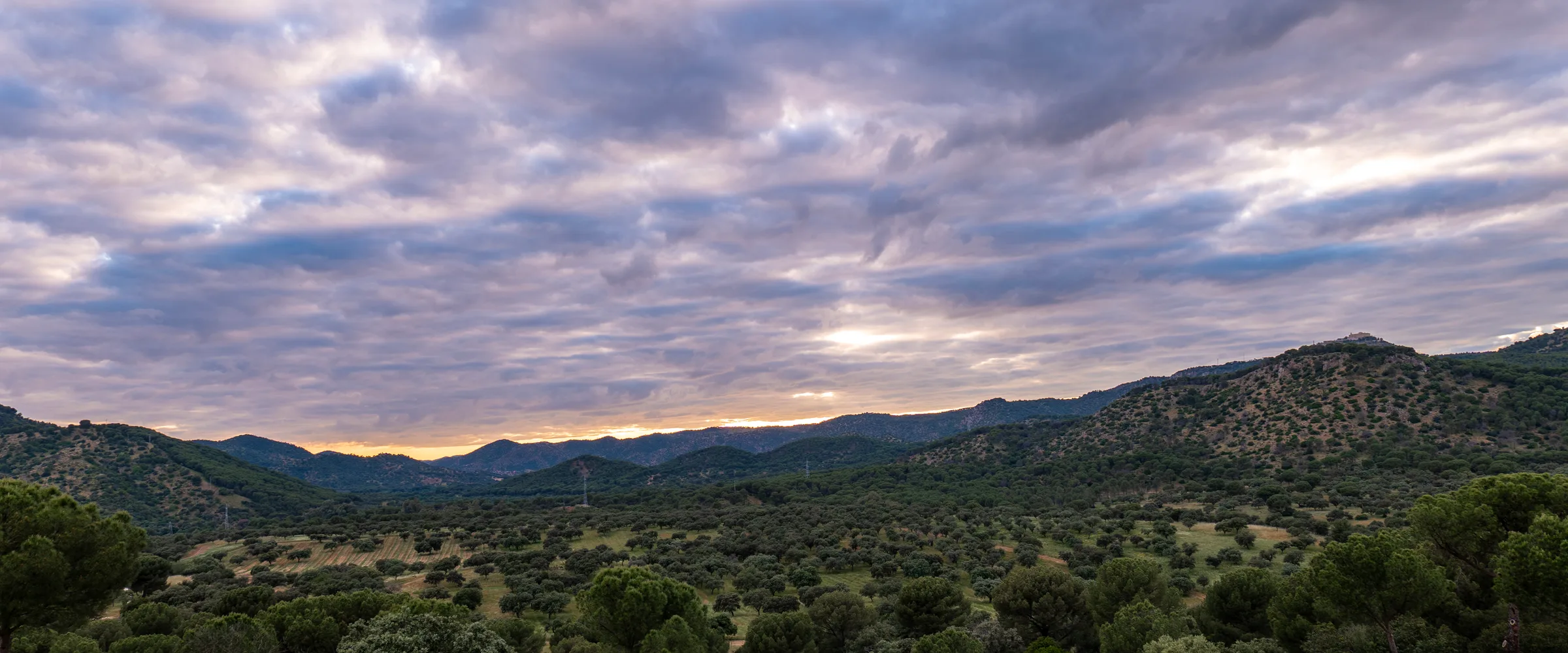 Dusk over the hunting country at Finca El Encinarejo