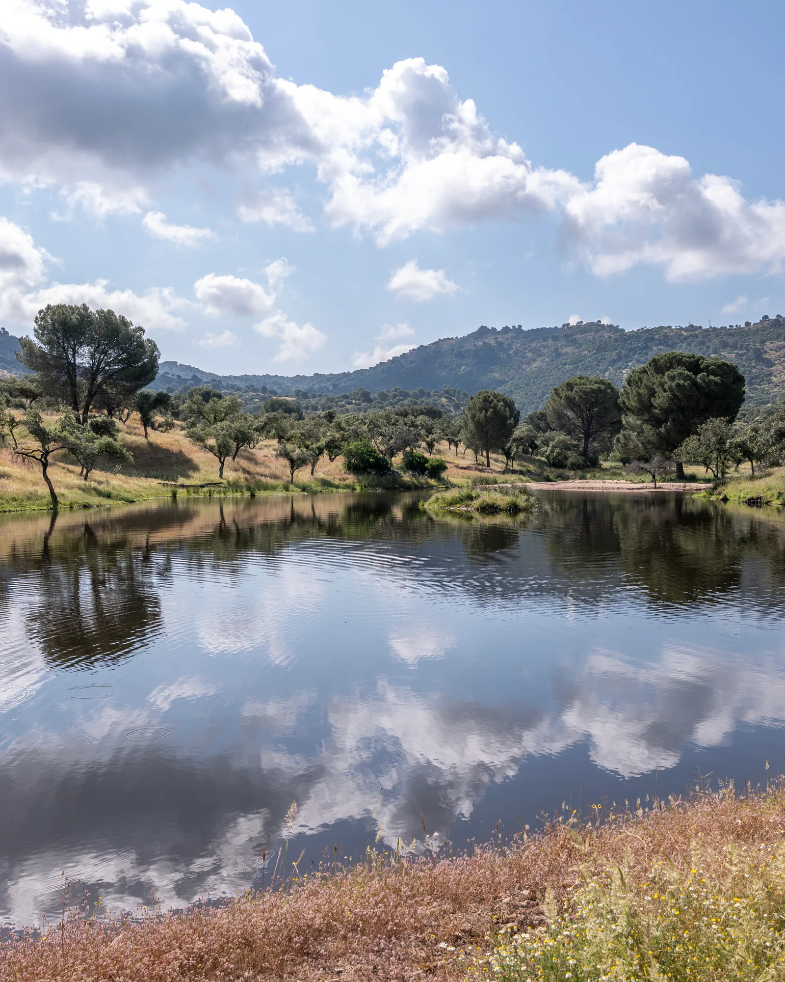 The finca's lake mirrored beneath a wide sky