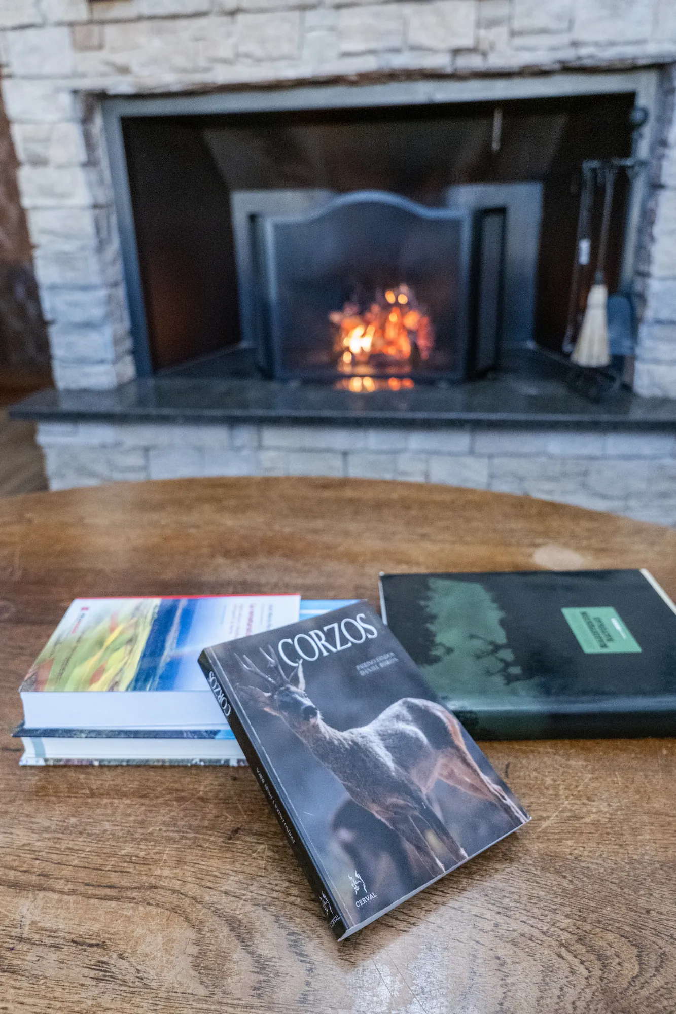 Game books on the coffee table, the fire lit behind