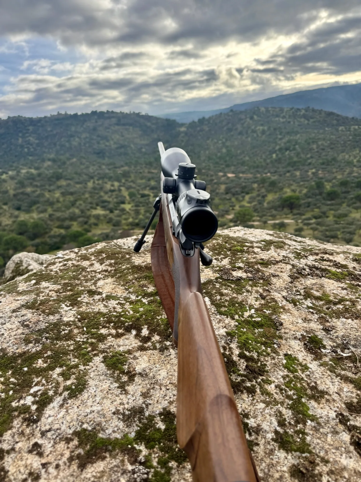 A rifle resting on a rock outcrop, scoped and ready, looking out over the Sierra de Andújar