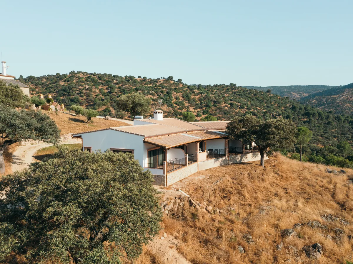 The dehesa and tracks of the finca from above