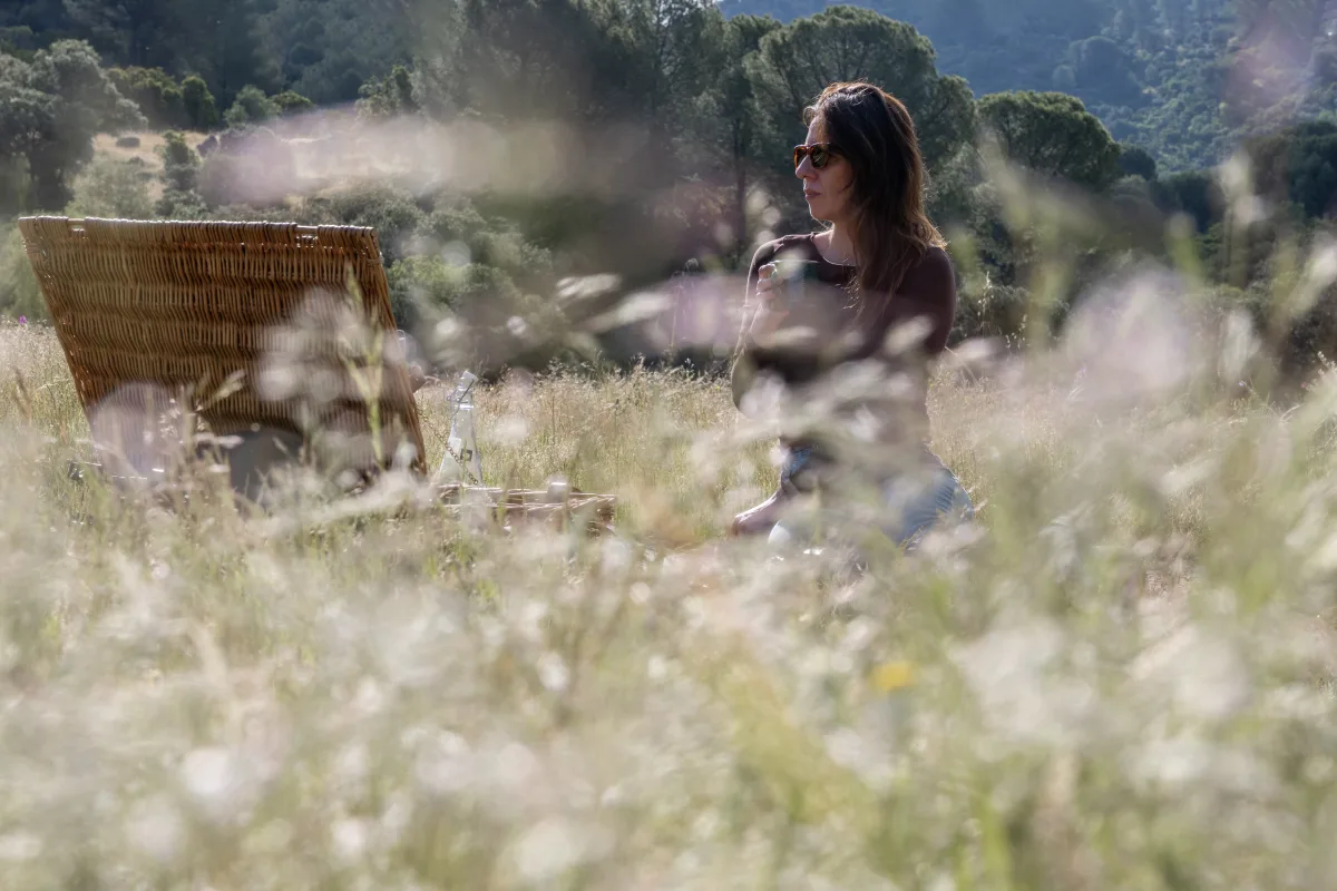A picnic in the meadow on the finca