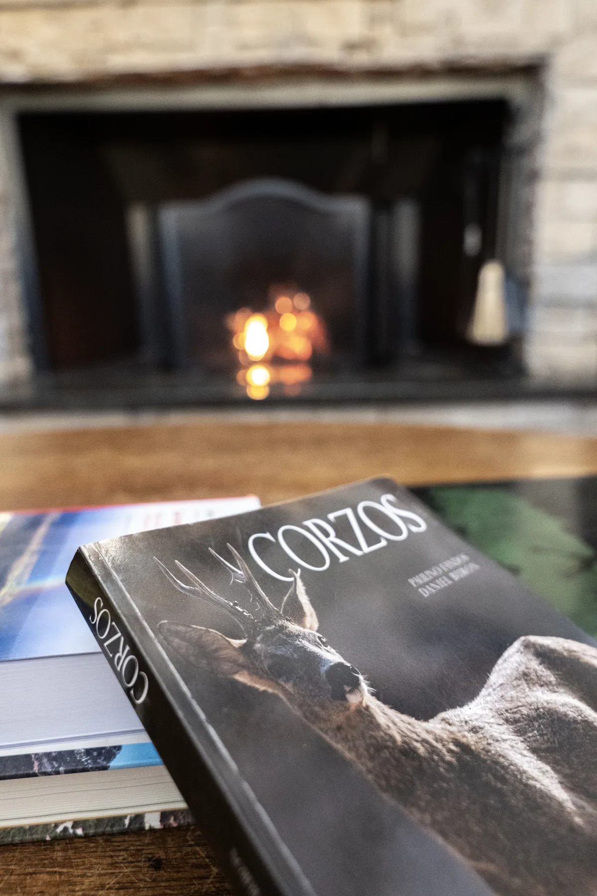 A book on roe deer by the lodge fire