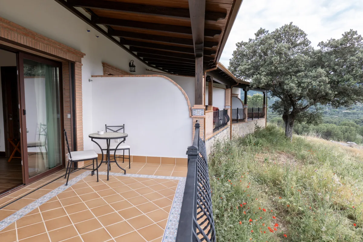The lodge terrace with poppies and mountain views