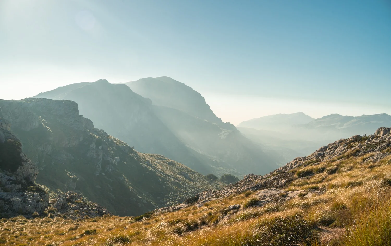 Balearean Boc in Spain — Encinarejo Outfitters
